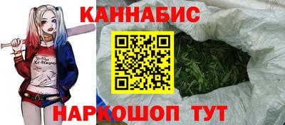 стафф Будённовск
