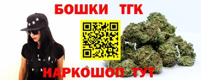стафф Будённовск