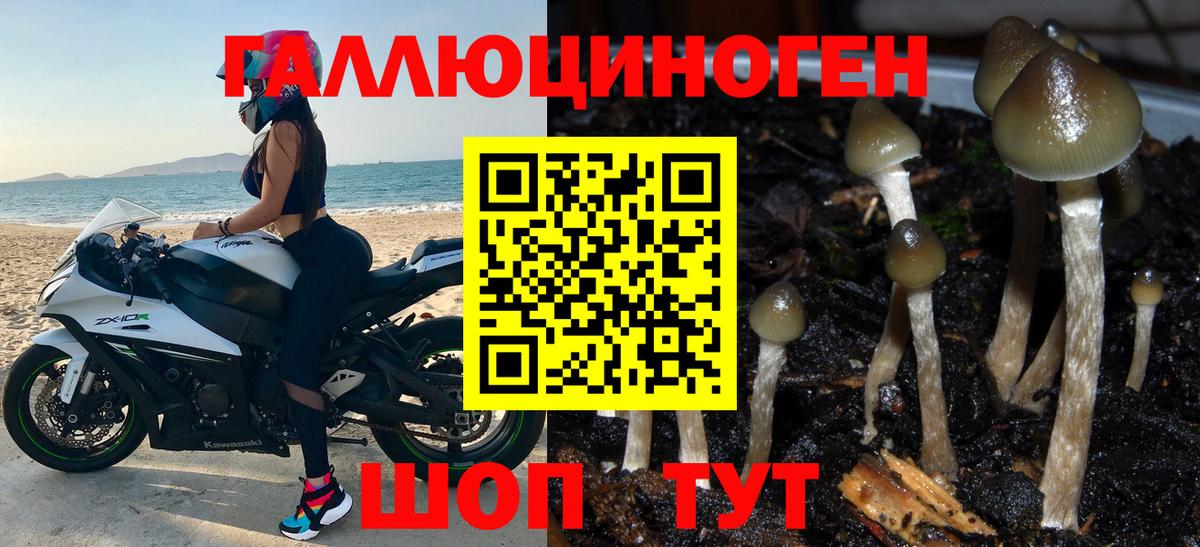 Галлюциногенные грибы мицелий  Вход с VPN  Псилоцибиновые грибы Psilocybe  Курганинск 