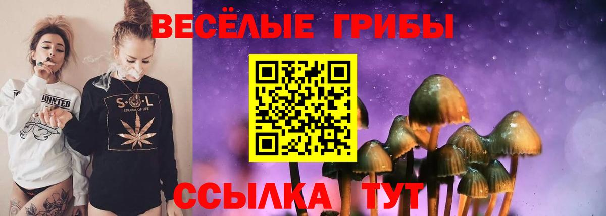 Псилоцибиновые грибы Psilocybine cubensis Курганинск